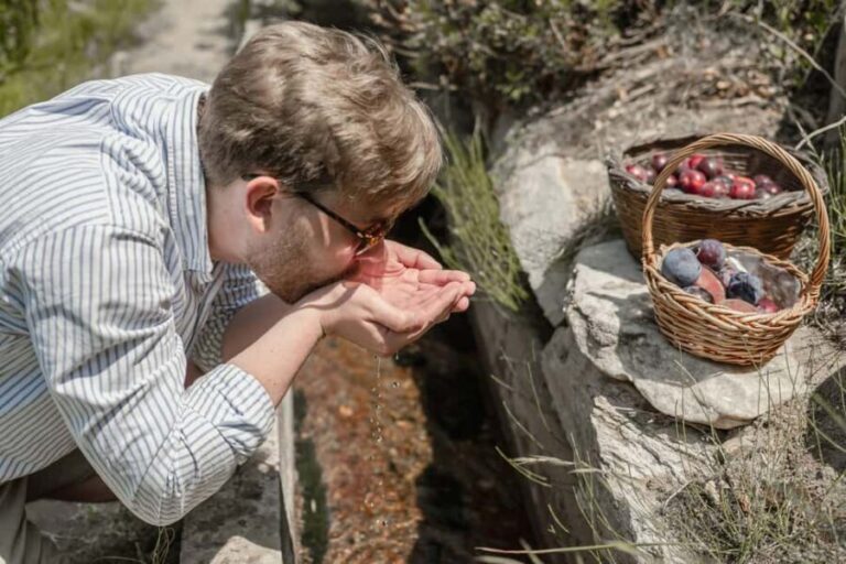 Naxos: Family Farm-table Cooking, Kouros Tour & Live Music - The Practical Details