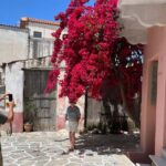 Naxos: Island Tour with Private Car and Driver - A Closer Look at the Tour