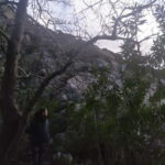 Naxos: Mystical Gorge & Hidden Waterfall Escape - Why This Tour Offers Great Value