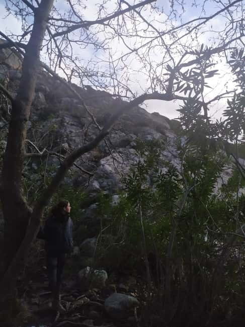 Naxos: Mystical Gorge & Hidden Waterfall Escape - Why This Tour Offers Great Value