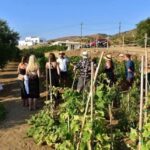 Naxos Private Cheese and Wine 6 Hour Experience - Transport, Duration, and Group Size