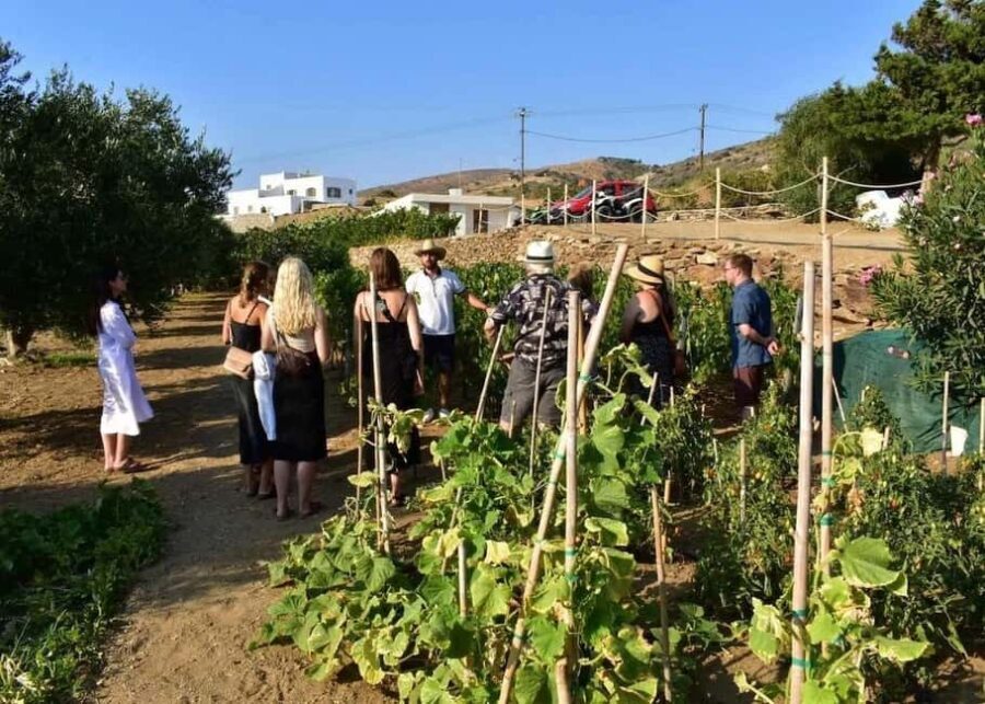 Naxos Private Cheese and Wine 6 Hour Experience - Transport, Duration, and Group Size