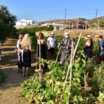 Naxos: Private Wine Tasting Tour - Good To Know