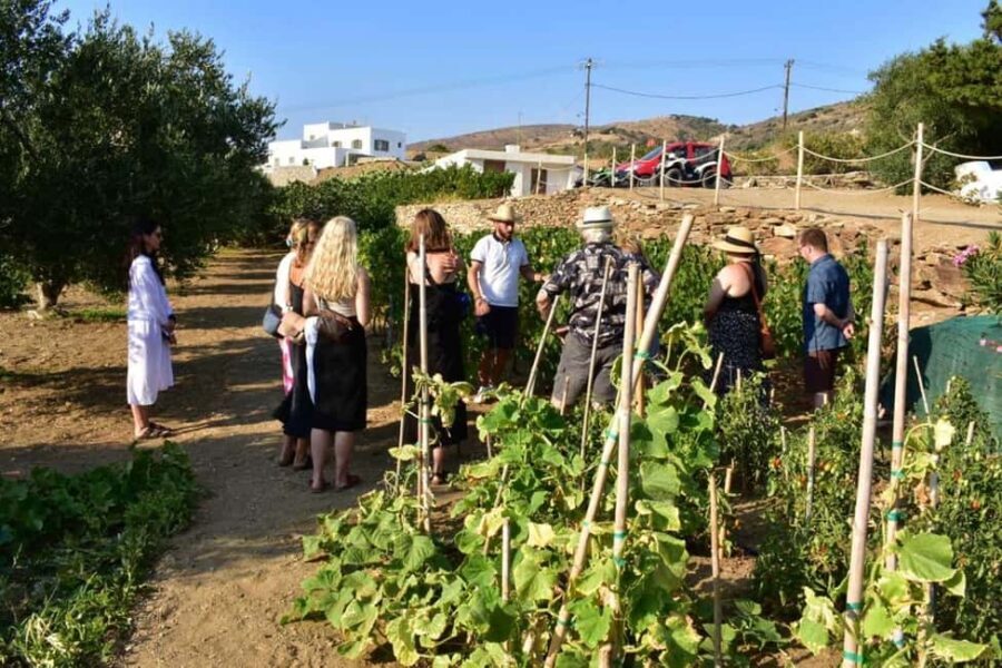 Naxos: Private Wine Tasting Tour - Good To Know