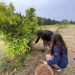 Near Cagliari: Wild Herbs and Healing at "In Our Garden" - Final Thoughts