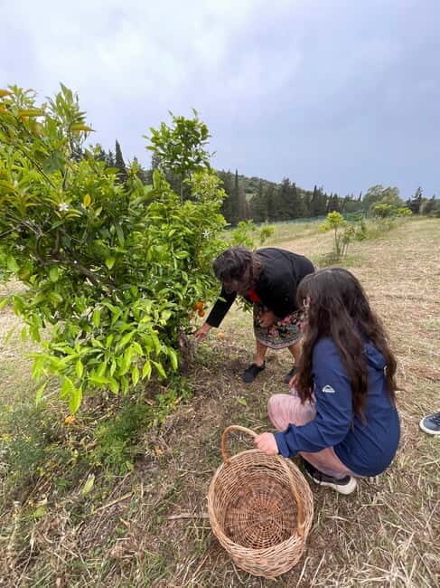 Near Cagliari: Wild Herbs and Healing at "In Our Garden" - Final Thoughts