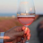 Nessebar: Guided Tour in English with Wine Tasting - Who Would Benefit from This Tour?