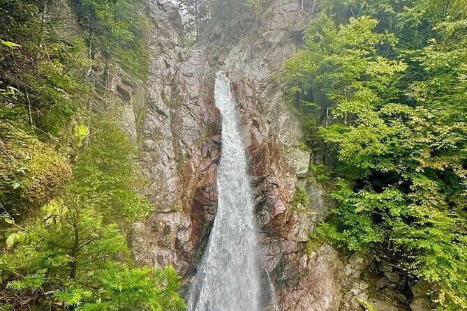 New Hampshire White Mountains Day Tour - Who Will Appreciate This Tour?