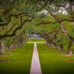 New Orleans: Bayou Swamp Tour and Oak Alley Plantation Tour - Analyzing the Value