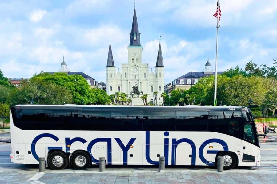 New Orleans: City Tour & Steamboat Daytime Jazz Cruise Combo - A Deep Dive into New Orleans Neighborhoods