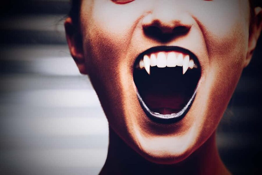 New Orleans: Vampires, Voodoo, and Ghosts Tour - Practical Details and Value