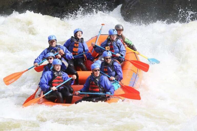 New River Gorge: Lower New River Full-Day Rafting Tour - What to Expect from the Tour