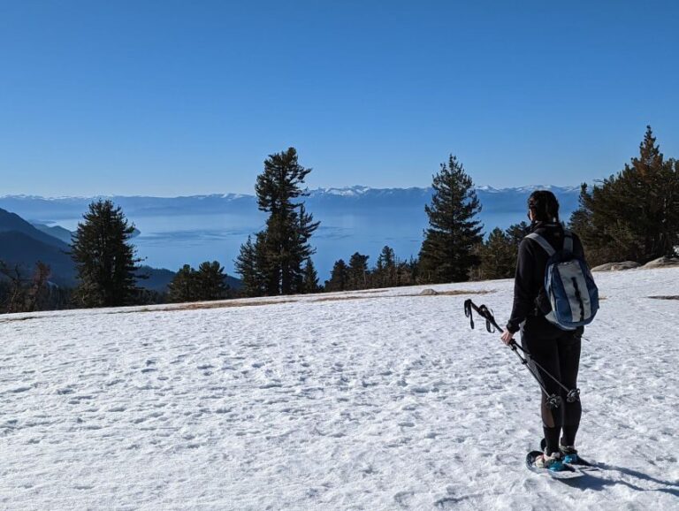 New Washoe City: Chickadee Ridge Beginner Snowshoeing Hike - Guides and Equipment: Making the Tour Seamless  