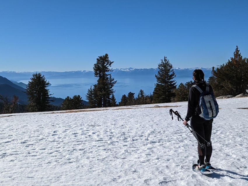 New Washoe City: Chickadee Ridge Beginner Snowshoeing Hike - Guides and Equipment: Making the Tour Seamless  
