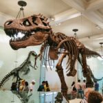 New York City: American Museum of Natural History Ticket - Entering the Museum