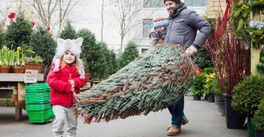 New York Citys Private Iconic Christmas Tour - What Makes This Tour Valuable?