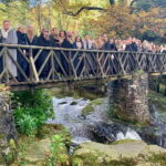 Newcastle: Game of Thrones - Tollymore Forest Trek - Exploring the Tollymore Forest Trek