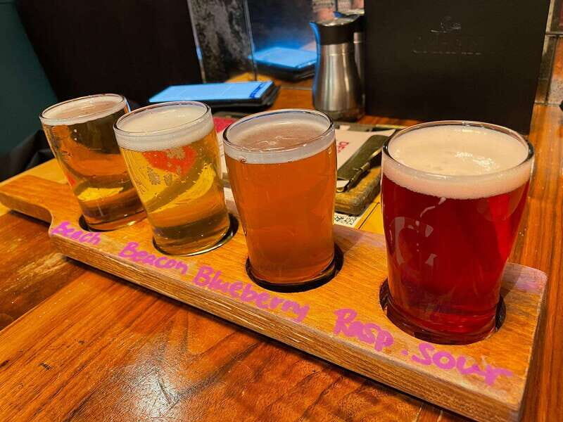 Newfoundland Beer Tasting Tour in St. John's - Price and Value
