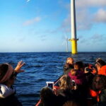 Newhaven: Rampion Offshore Wind Farm Boat Tour - The Itinerary and Experience