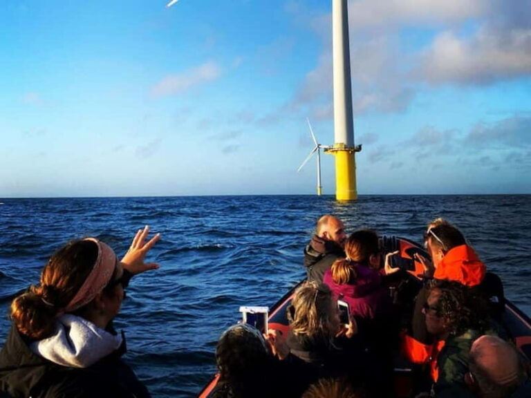 Newhaven: Rampion Offshore Wind Farm Boat Tour - The Itinerary and Experience