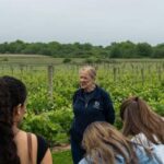 Newport: Vineyards Winery Tour + Tasting - The Experience’s Practical Aspects