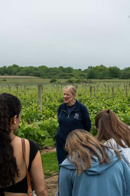 Newport: Vineyards Winery Tour + Tasting - The Experience’s Practical Aspects
