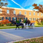 Niagara-on-the-Lake: Guided Walking Tour - The Value and Practicalities