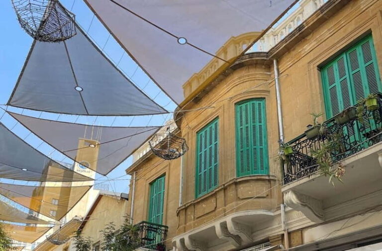 Nicosia: Private Walking Tour of the City with a Local Guide - Who This Tour Is Best For  