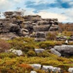 Nidderdale Driving Tour with an APP - Final Verdict: Is It Worth It?