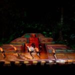 Night Rhythms - Alma - Show and Dinner in Puerto Vallarta - Practical Details and Insights