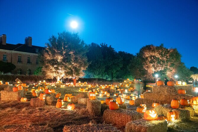 Nightfall - What to Expect from the Nightfall Experience