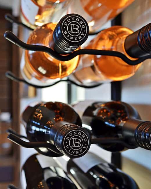 NON BUS Sunday Funday Traverse City Old Mission Wine Tour - What to Expect from the Itinerary