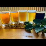 NON BUS Traverse City IPA, Beer, Distillery and Wine Tour - Why This Tour Offers Good Value
