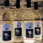 NON BUS Traverse City Old Mission Hard Cider Lovers Tour - Why Choose This Tour?