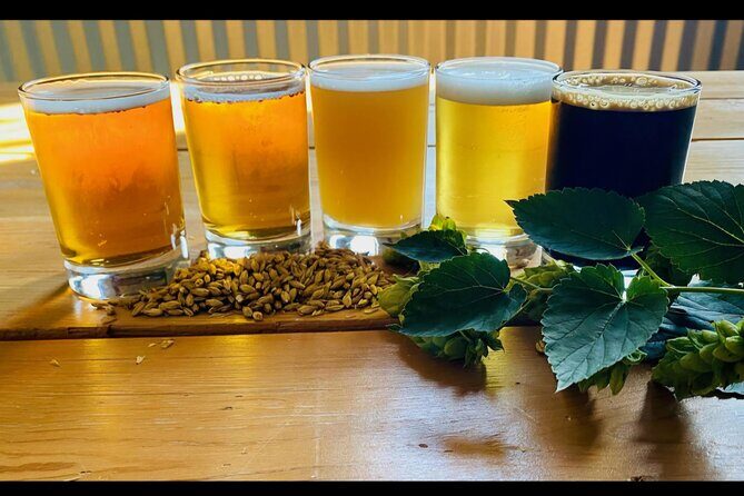 NON BUS VIP Traverse City Brewery And Distillery Tour - What’s Included and What to Expect