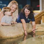 Norfolk: Virginia Zoo & Battleship Wisconsin Combo Ticket - Extra Benefits and Discounts