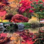 North Atlanta: Gibbs Gardens Self-Guided Slingshot Tour - The Return Journey and Reflection