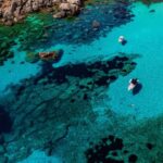 North Coast Dolphins Sunrise Adventure Tour - The Practical Side: Pricing, Timing, and What to Bring