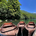 North Montenegro return trip - Biogradska Gora National Park - The Value of This Experience