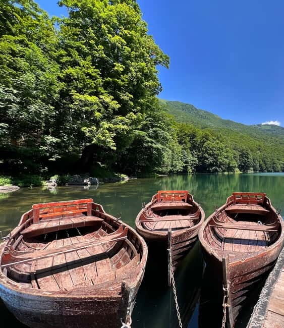 North Montenegro return trip - Biogradska Gora National Park - The Value of This Experience