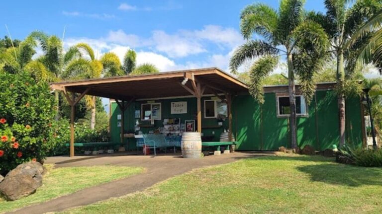 North Shore's best day! River, Turtles, Farm with Lunch - Why This Tour Works