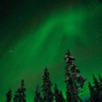 Northern Lights Reindeer Sledge Ride - What Makes This Tour Special?