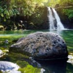 Northshore Maui: Guided Rainforest and Waterfall Walk - The Waterfall Experience