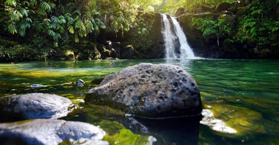 Northshore Maui: Guided Rainforest and Waterfall Walk - The Waterfall Experience
