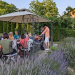 Novi Sad: Fruka Gora Wine Tasting with Local Bites - The Value of the Tour