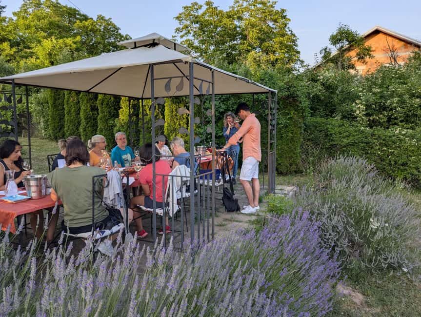 Novi Sad: Fruka Gora Wine Tasting with Local Bites - The Value of the Tour