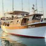 Novigrad: Sunset Dolphin Watching Boat Tour by Matek - A Detailed Look at the Experience