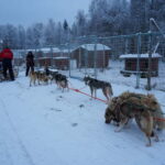 Nulkki Husky Adventure - Practical Details and What Makes This Tour Stand Out