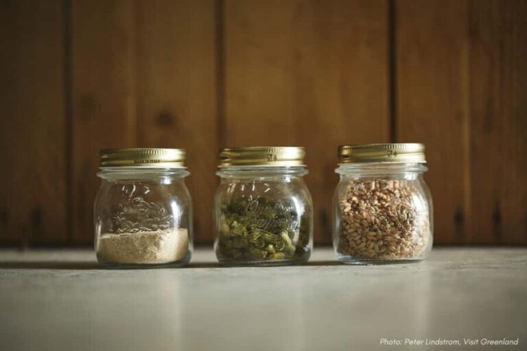 Nuuk: Greenlandic Beers, Burgers and Samplers Tasting Tour - In-depth Breakdown of the Itinerary