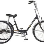 NYC Adult Tricycle Rental - An In-Depth Look at the NYC Adult Tricycle Rental